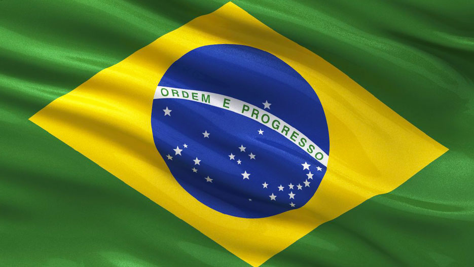 Top Brazilian Insurance Providers